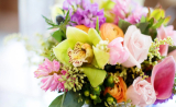Surprising Benefits of Sending Flowers – 11 Uplifting Reasons to Show You Care